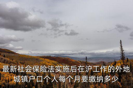 最新社會(huì)保險(xiǎn)法實(shí)施后在滬工作的外地城鎮(zhèn)戶口個(gè)人每個(gè)月要繳納多少