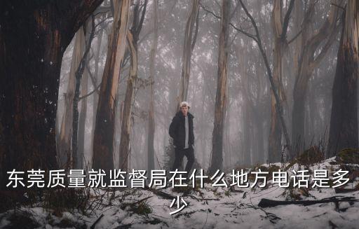 東莞質量就監督局在什么地方電話是多少