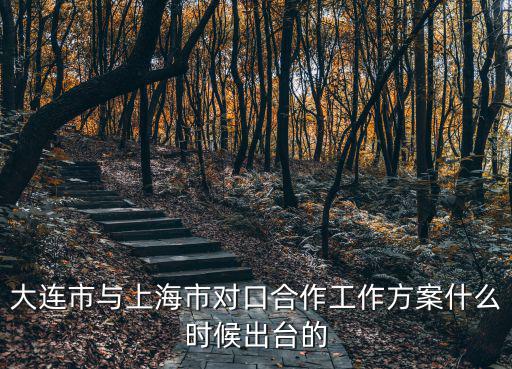 大連市與上海市對口合作工作方案什么時候出臺的
