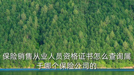 重慶市保險從業人員銷售平臺，保險銷售從業人員資格證書怎么查詢屬于哪個保險公司的