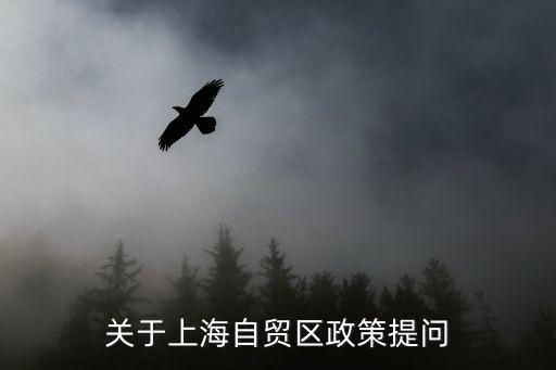 關于上海自貿區政策提問