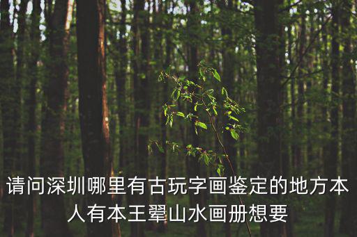 深圳博物館畫冊，請問深圳哪里有古玩字畫鑒定的地方本人有本王翚山水畫冊想要