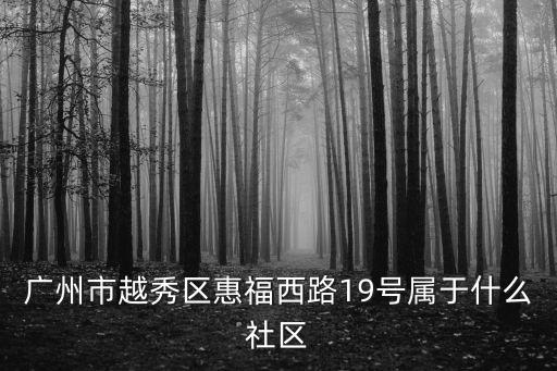 廣州詩書西街，廣州詩書街道可以上什么小學