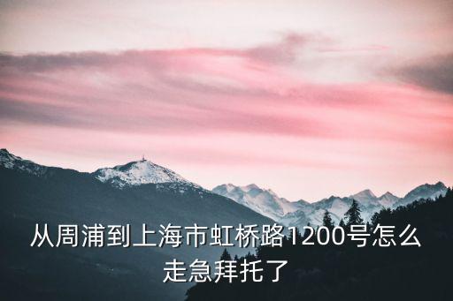 上海市虹橋路1200號乘車，上海虹橋火車站至浦東新區世紀大道1200號中國石油上海大廈做多少路
