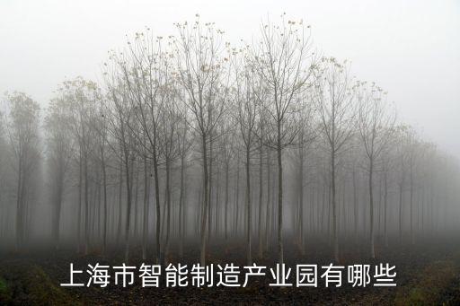上海市十三五智能制造發展規劃，3C智能制造未來發展趨勢