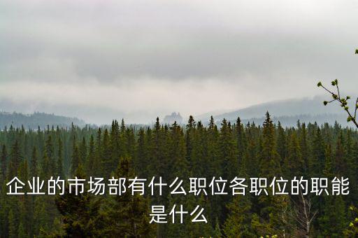 上海市場部十五部，企業的市場部有什么職位各職位的職能是什么