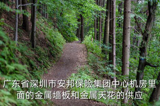廣東省深圳市安邦保險集團中心機房里面的金屬墻板和金屬天花的供應
