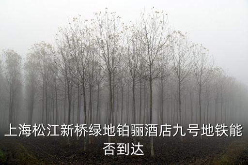 上海松江新橋綠地鉑驪酒店九號地鐵能否到達