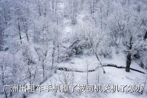 廣洲出租車手機掉了被司機關機了怎辦