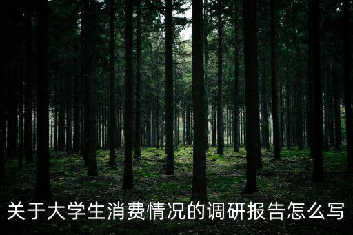 關于大學生消費情況的調研報告怎么寫
