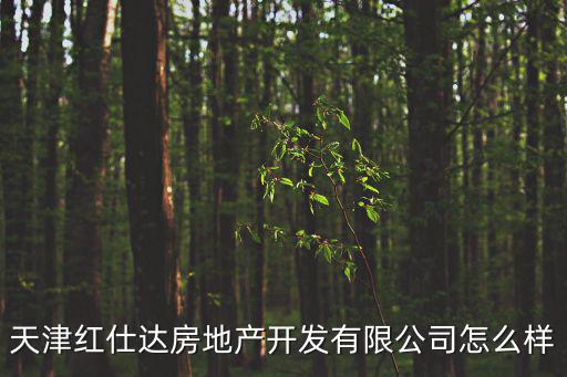 天津紅仕達(dá)房地產(chǎn)開發(fā)有限公司怎么樣