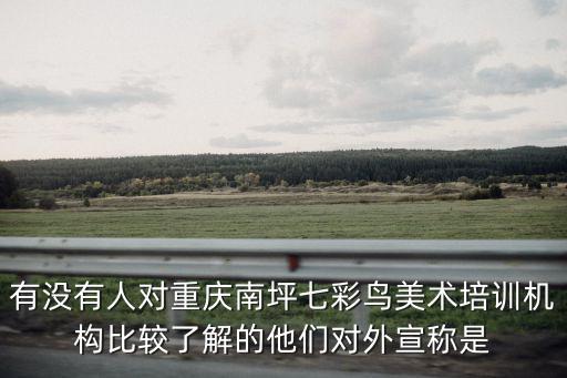 有沒有人對重慶南坪七彩鳥美術培訓機構比較了解的他們對外宣稱是
