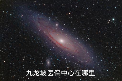 九龍坡醫(yī)保中心在哪里