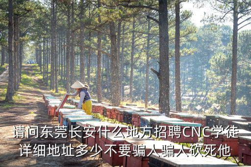 東莞招聘CNC維修，東莞哪里有招聘鞋廠CNC手工木模技工