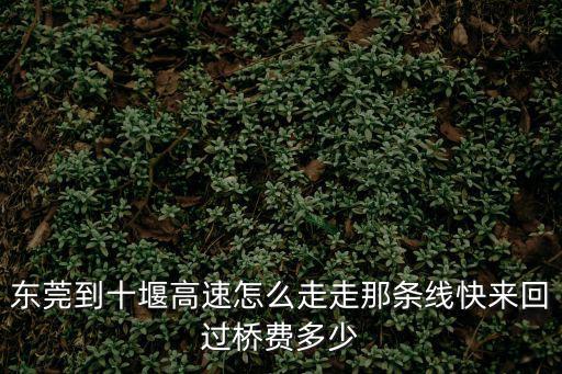 東莞到十堰高速怎么走走那條線快來回過橋費多少