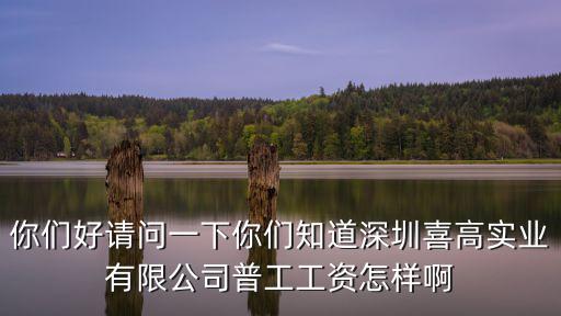 你們好請問一下你們知道深圳喜高實(shí)業(yè)有限公司普工工資怎樣啊