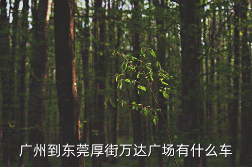 廣州到東莞厚街萬達(dá)廣場有什么車