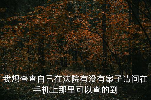 我想查查自己在法院有沒有案子請問在手機上那里可以查的到