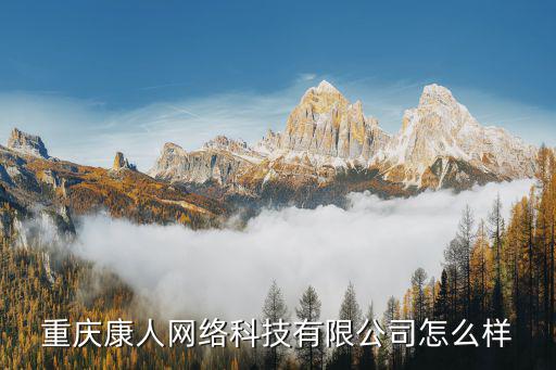 重慶康人網絡科技有限公司怎么樣