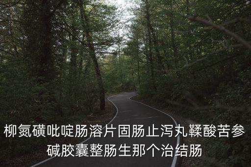 上海市三維藥業，柳氮磺吡啶腸溶片固腸止瀉丸鞣酸苦參堿膠囊整腸生那個治結腸