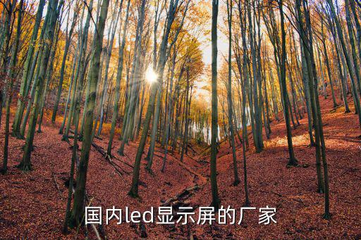 國(guó)內(nèi)led顯示屏的廠家