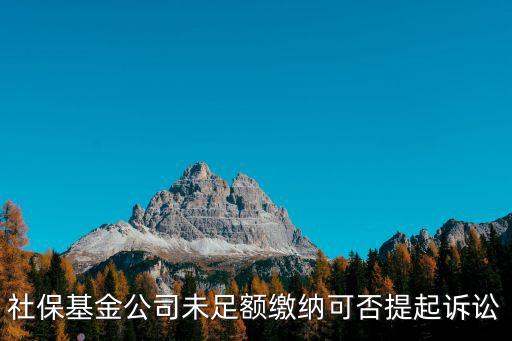 社保基金公司未足額繳納可否提起訴訟