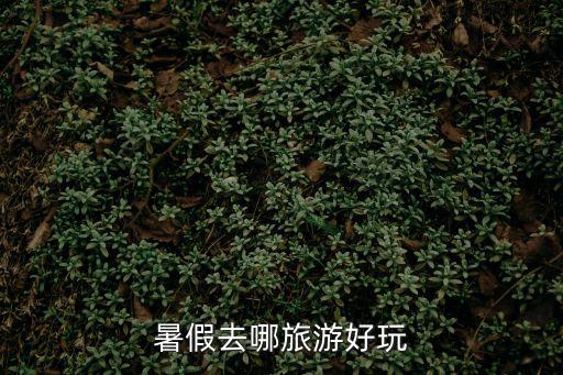 深圳市浪花網(wǎng)絡(luò)科技有限公司蘇州，poupoumi和neko是一個牌子嗎