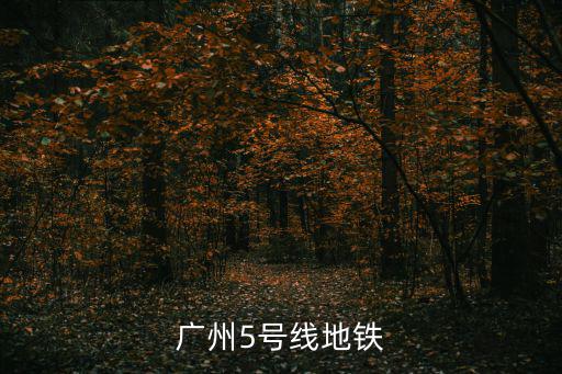 廣州5號線地鐵