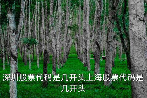 深圳股票代碼是幾開頭上海股票代碼是幾開頭