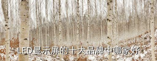 LED顯示屏的十大品牌中哪家好