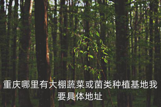 重慶市潼南區群力鎮雙堰村雙河埝，我是新民市的欠薪以經申請勞動仲裁了收到開庭通知了可不可以