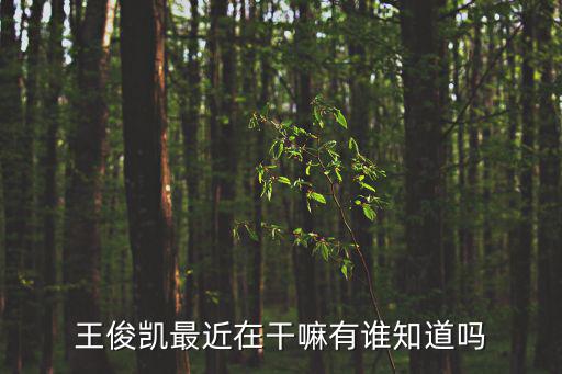 王俊凱最近在干嘛有誰知道嗎