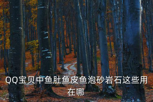QQ寶貝中魚肚魚皮魚泡砂巖石這些用在哪