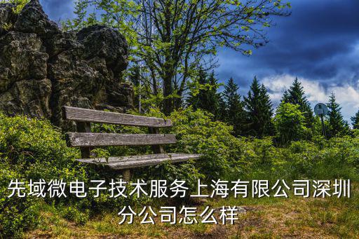 先域微電子技術(shù)服務(wù)上海有限公司深圳分公司怎么樣