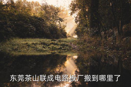 東莞茶山聯成電路板廠搬到哪里了
