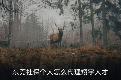東莞社保個人怎么代理翔宇人才
