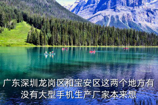 廣東深圳龍崗區和寶安區這兩個地方有沒有大型手機生產廠家本來想