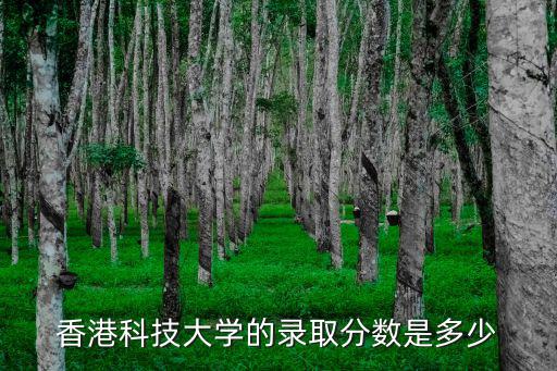 香港科技大學(xué)的錄取分?jǐn)?shù)是多少