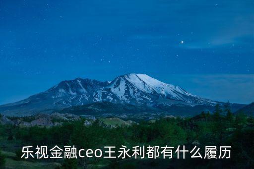 樂視金融ceo王永利都有什么履歷