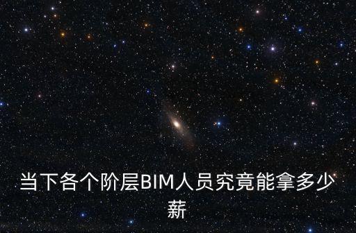 當(dāng)下各個階層BIM人員究竟能拿多少薪