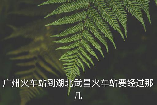 廣州火車站到湖北武昌火車站要經(jīng)過那幾