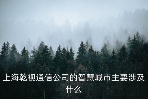 上海乾視通信公司的智慧城市主要涉及什么
