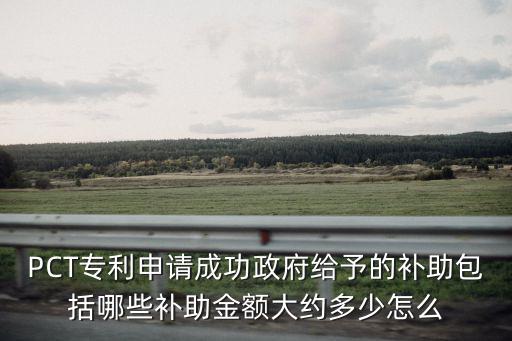PCT專利申請成功政府給予的補助包括哪些補助金額大約多少怎么