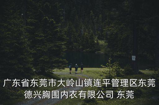 廣東省東莞市大嶺山鎮(zhèn)連平管理區(qū)東莞德興胸圍內(nèi)衣有限公司 東莞