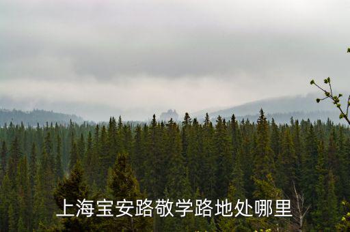 上海寶安路敬學(xué)路地處哪里