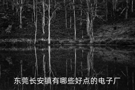 東莞長安鎮有哪些好點的電子廠