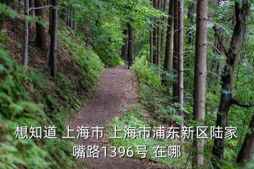 想知道 上海市 上海市浦東新區陸家嘴路1396號 在哪