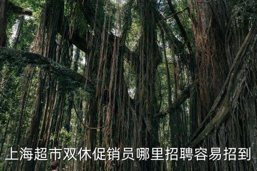 上海超市雙休促銷員哪里招聘容易招到