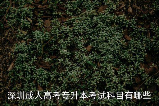 深圳成人高考專升本考試科目有哪些