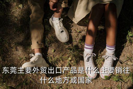 東莞主要外貿出口產品是什么主要銷往什么地方或國家